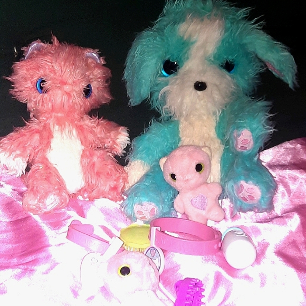 Scruff a Luvs Moose 2017 Blue PUPPY Dog + Pink Kitty Cat Stuffed Animal Plush